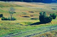 Nagy-mező