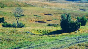 Nagy-mező