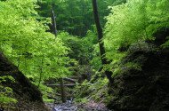 Nemzeti Parkok Hete: Túra a Gortva-völgyben
