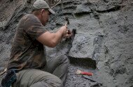 Erdélyi dinoszauruszok nyomában - Dr. Botfalvai Gábor előadása az Ipolytarnóci Ősmaradványoknál