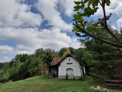 Szitakötő-ház-20240911