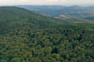 Őserdő túra
