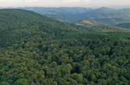 Őserdő túra