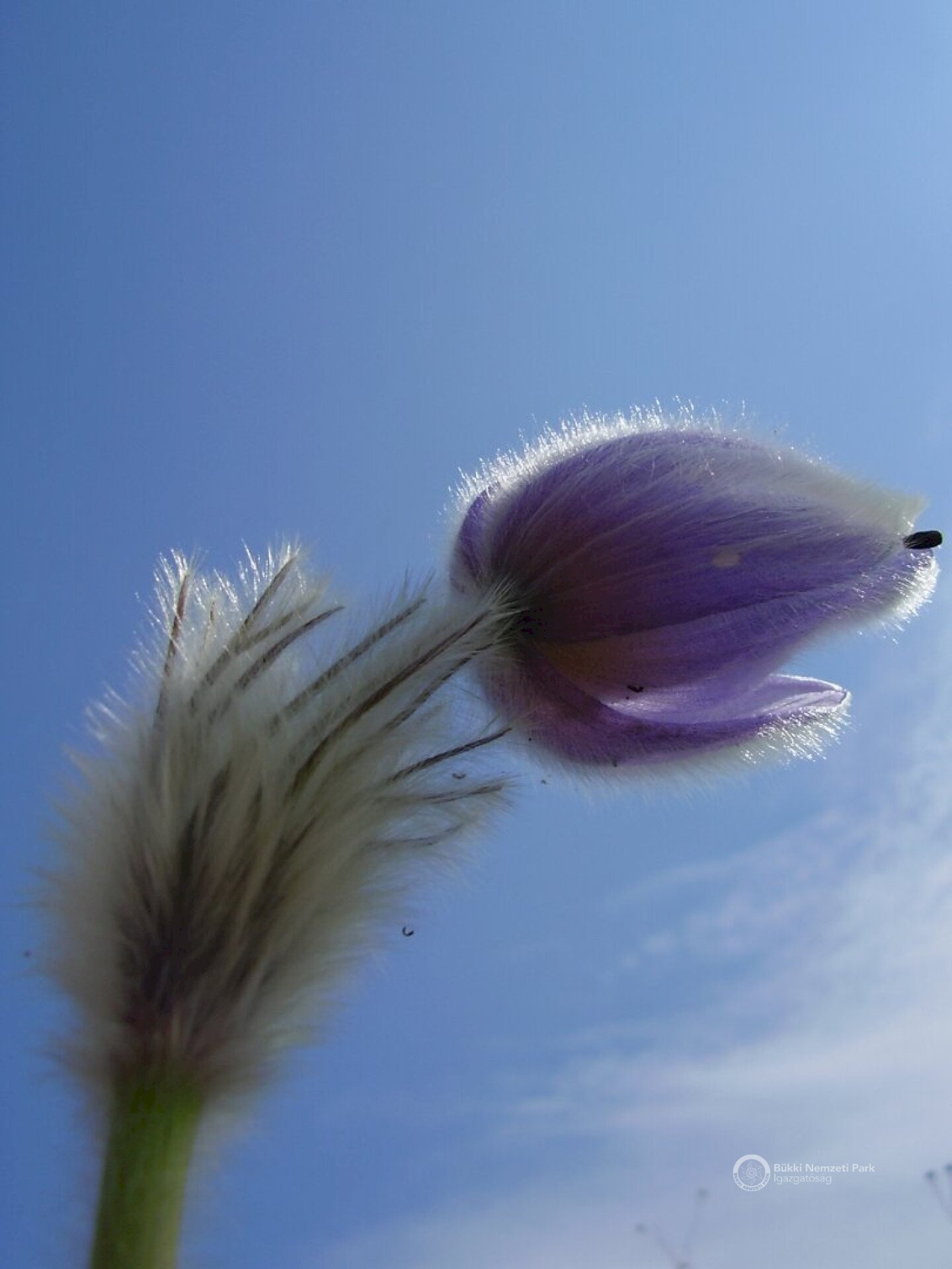P7310063