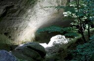 Páris-patak völgye, Nógrádszakál