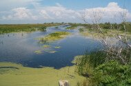 BETELT - Vizes Élőhelyek Világnapja