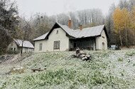 Februári madárgyűrűzés Jávorkúton