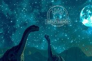 Prehistoric Stargazing at the Ipolytarnoc Fossils