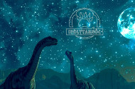 Prehistoric Stargazing at the Ipolytarnoc Fossils