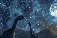 Prehistoric Stargazing in the Miocene Park