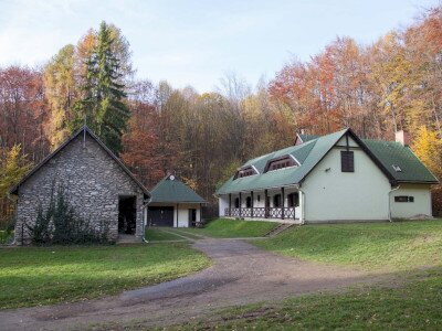 _MG_4411