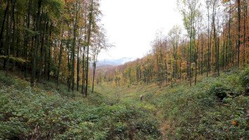 Répáshuta - Rejteki természetismereti tanösvény I. (kis kör)