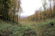 Répáshuta - Rejteki természetismereti tanösvény I. (kis kör)