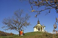 Gyöngyös-Mátrafüred, Sár-hegyi Mandula tanösvény