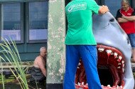 Shark alert at the Miocene Park
