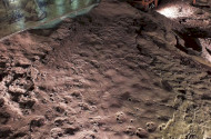 Spurfossilien