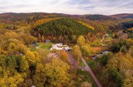 Survival tour at the Miocene Park