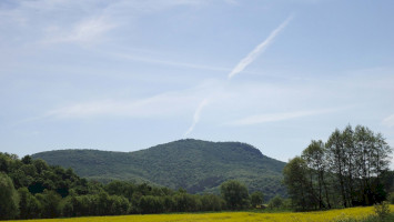 Szárkő