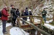 Téli barangolás az egykori trópusokon