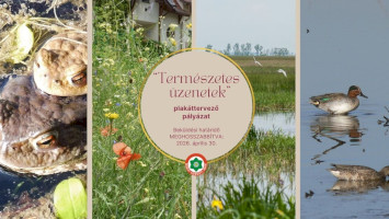 „Természetes üzenetek” - plakáttervező pályázatot hirdetünk