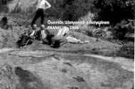 The first press release on the footprint of Ipolytarnóc was published 120 years ago