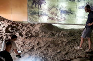 The footprints of Ipolytarnoc in the media