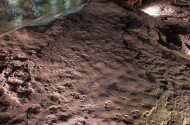 Trace fossils, footprints