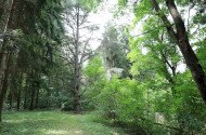 Tuzson arborétum, Fenyvespuszta