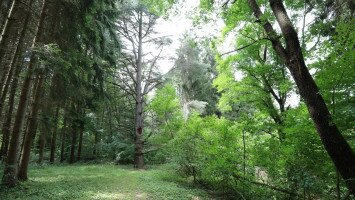 Tuzson Arboretum of Fenyvespuszta
