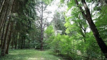 Tuzson Arboretum of Fenyvespuszta
