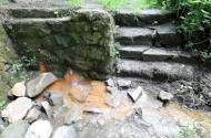 Upper- csevice Spring, Tar