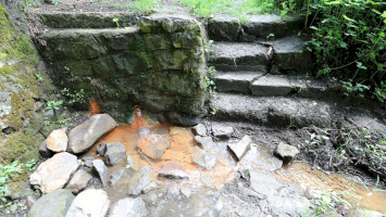 Upper- csevice Spring, Tar