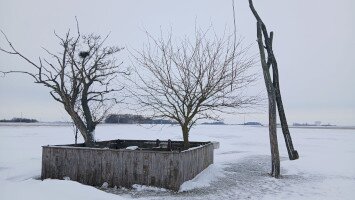 Víz a legelőn – mi köze van a kutaknak az ürgékhez?