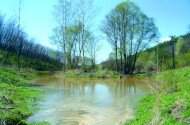 BETELT - Vizes Élőhelyek Világnapja