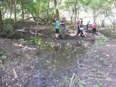 P1210773_kép forrása_BNPI