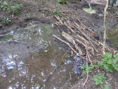 P1210783_kép forrása_BNPI