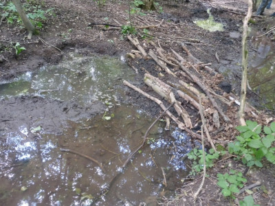 P1210783_kép forrása_BNPI