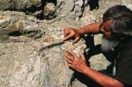 Volcano Day and EGN Week at the Ipolytarnoc Fossils