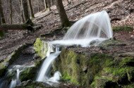 BETELT - Vizes Élőhelyek Világnapja