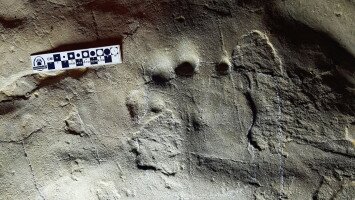 Winter adventure tours to the ancient tropics, tracking prehistoric footprints at Ipolytarnóc