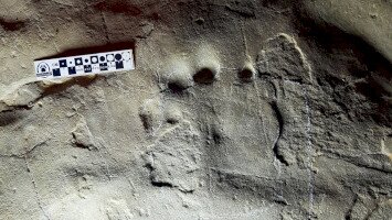 Winter adventure tours to the ancient tropics, tracking prehistoric footprints at Ipolytarnóc