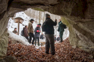 Winter tree trunk cave tour to the Miocene prehistoric world beyond borders