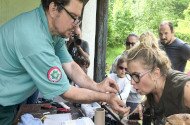 Júniusi madárgyűrűzés a Szitakötő háznál