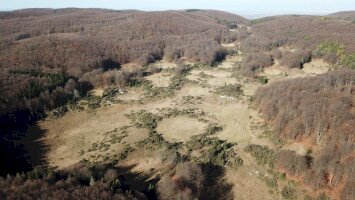 Zsidó-rét