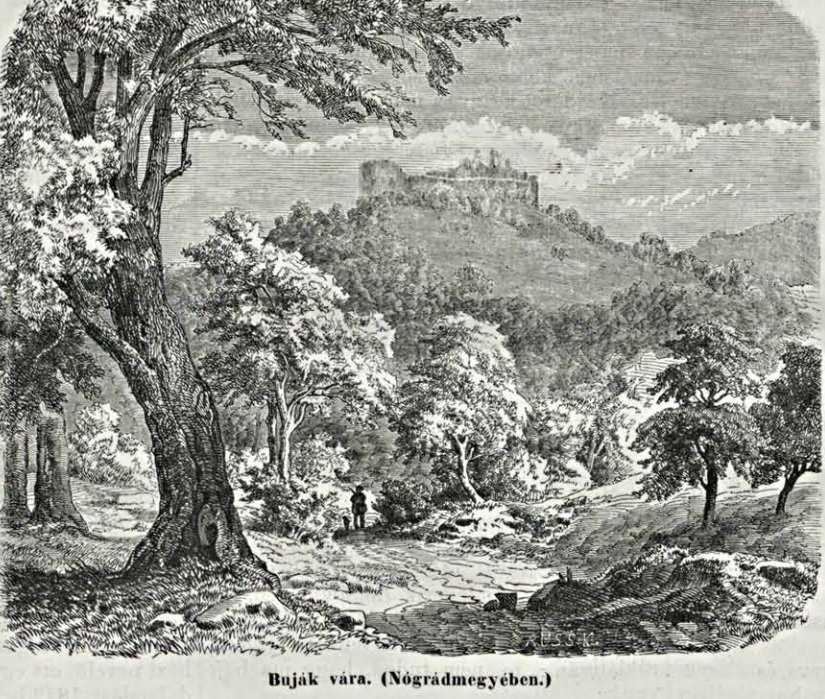 Buják vára 1864