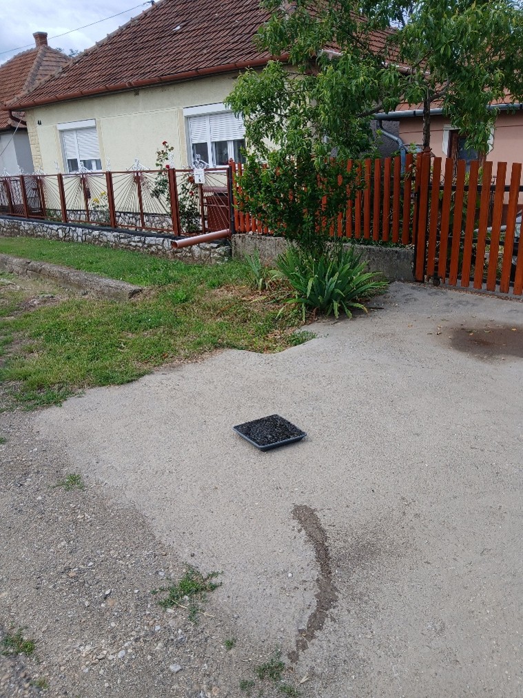 Kép1_260618153549.jpg